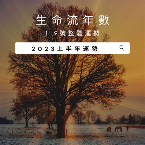 2023生命靈數流年2